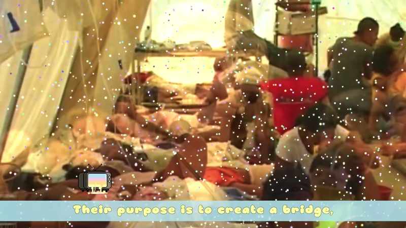 Their purpose is to create a bridge