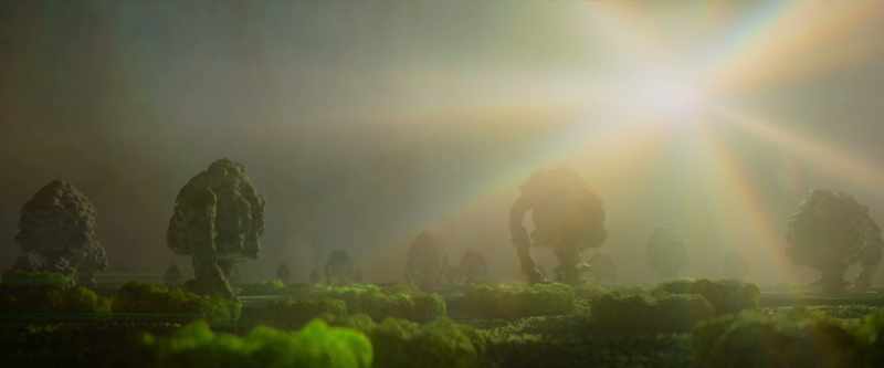 Their surface is covered with a forest of tiny, light-harvesting proteins