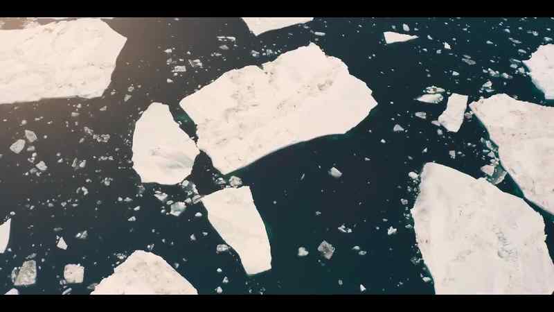 Their survival in this precious but fast-melting ocean