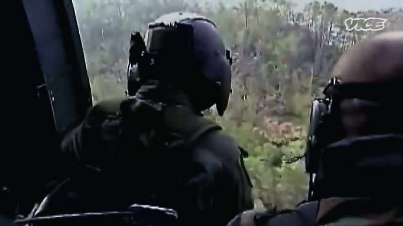 Their training, their experiences