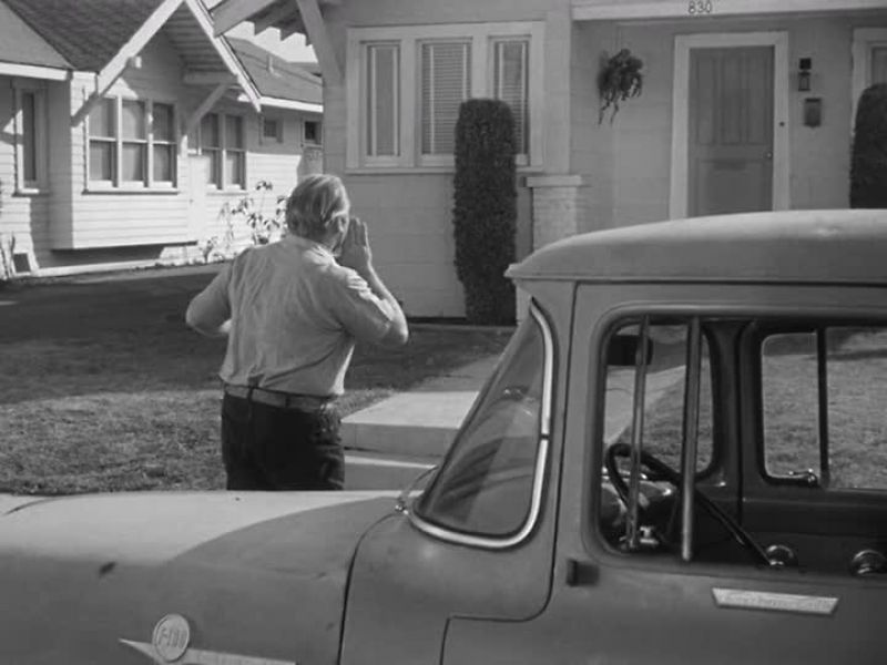 THELMA LOU!