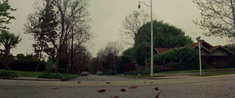 (theme fades)