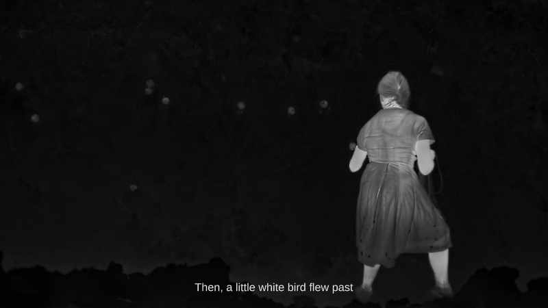 Then, a little white bird flew past