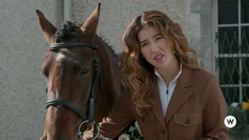 Then I remembered how colourful those horses were
