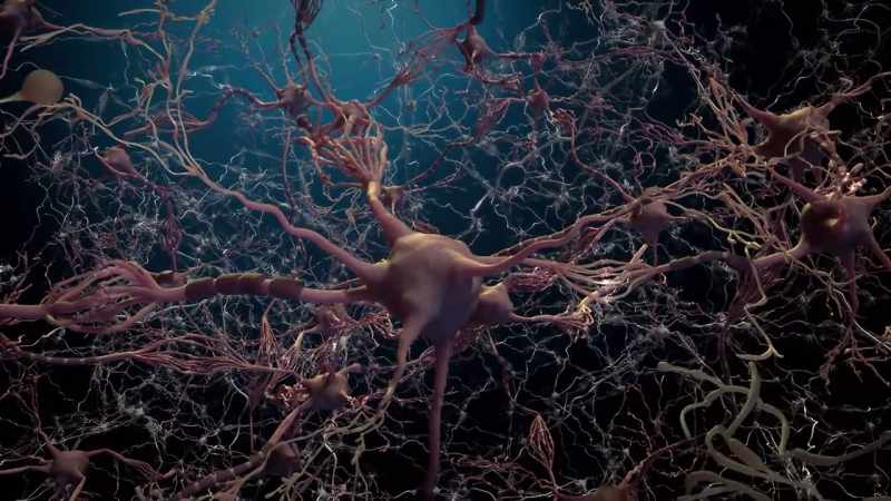 Then, just as quickly, the brain has to react
