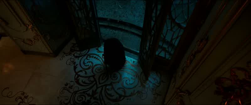 Then one nightan unexpected intruder arrived at the castleseeking shelter from the bitter stormAs a gift she offered the prince a single roseRepulsed by her haggard appearancethe prince turned the