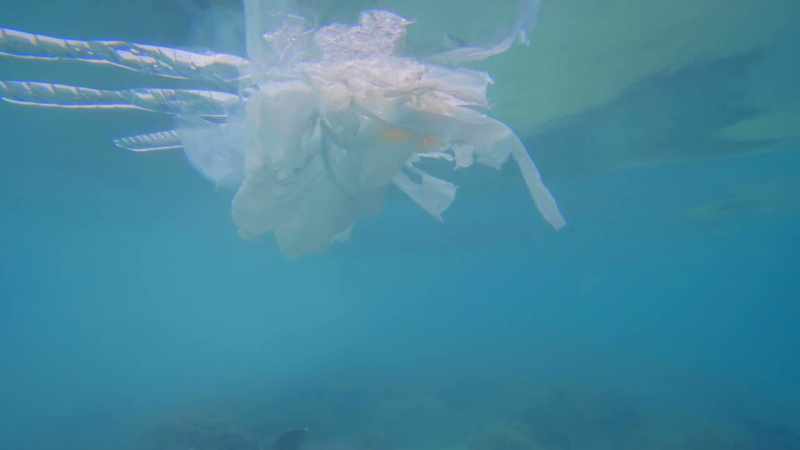Then, particularly in the marine environment