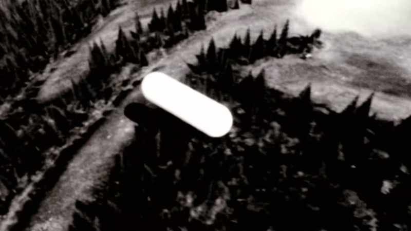 Then we saw quite clearly it was an aircraft type object