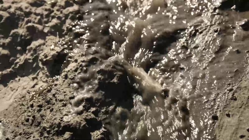 Then spreads across the Delta