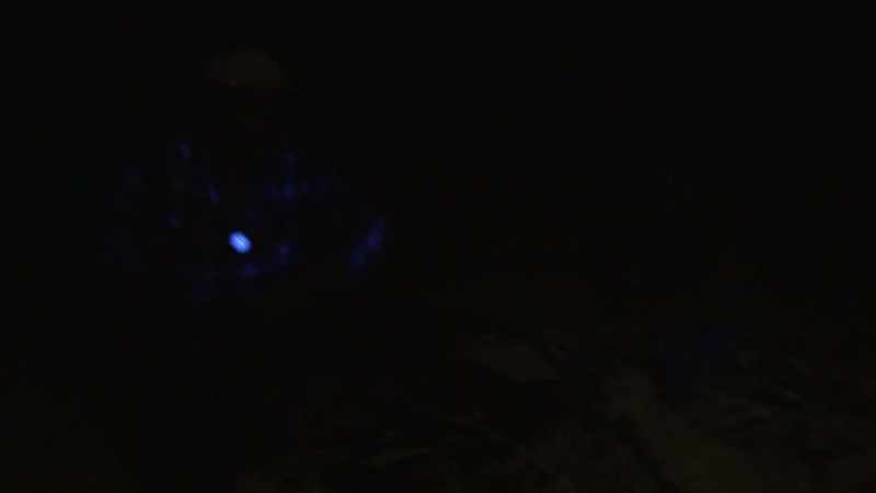 Then the bloody thing gave way underneath.(ALL GASP)