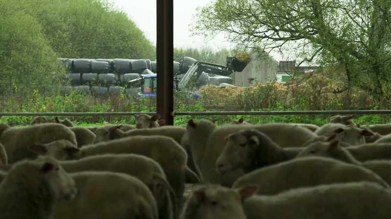 Then it tips it on to the big muck heap
