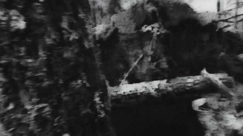 Then, they took me out in the woods and left me