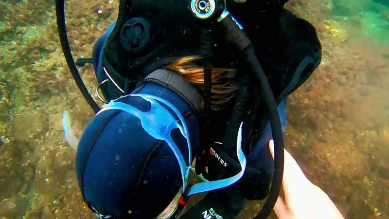 Then they use special underwater mortar to reconstruct
