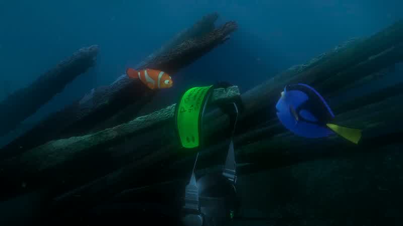Then we've got to find a fish that can read this