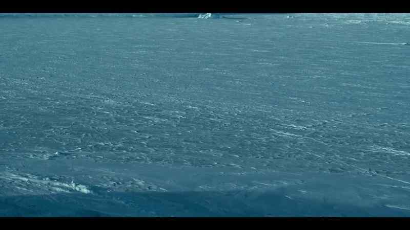 Then, winter comes and the whales depart