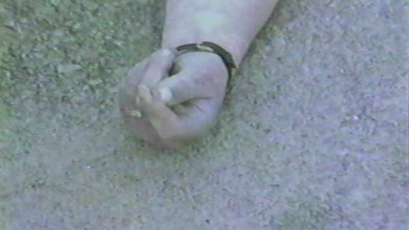 There was a diamond ring on the ring finger