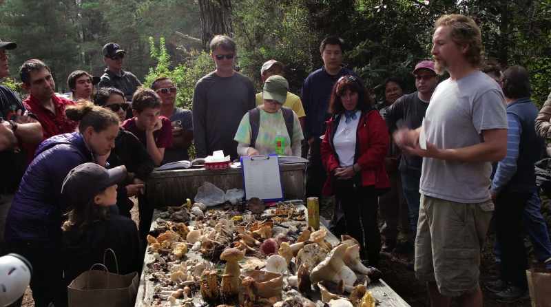 There is a great need for more people to study fungi