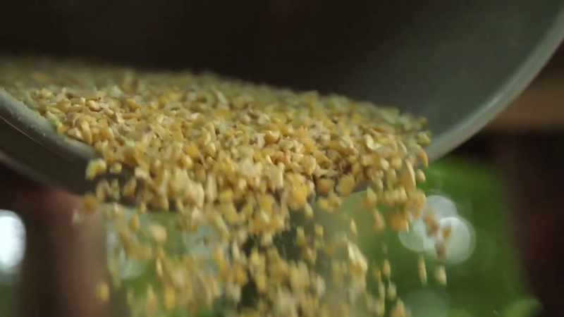 There were a lot of people who use yellow corn