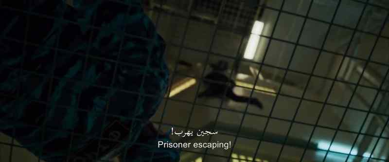 There is a prisoner on the run!
