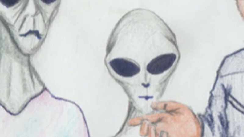 There was a small Grey alien in the room