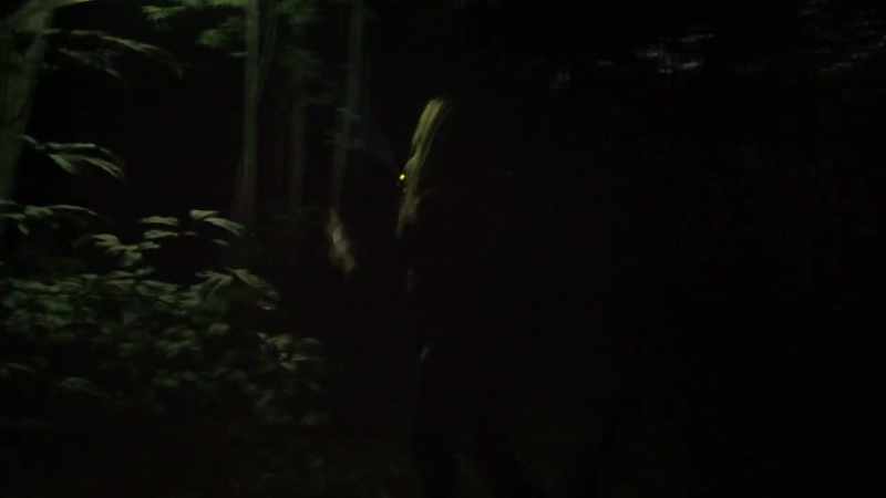 There was a very heavy tree trunk