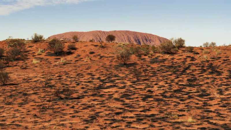 There is almost no soil here, few plants, few animals