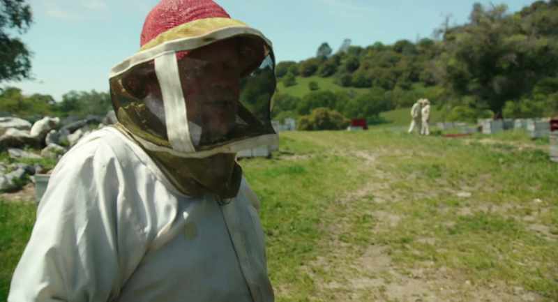There are about 320 hives that we're going to assess
