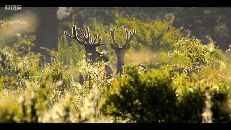 There are all these things we know we have to do for biodiversity