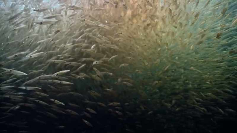 There are already signs that the ocean has the power