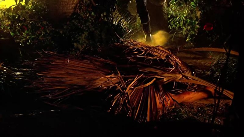 There are at lea five stab wounds here