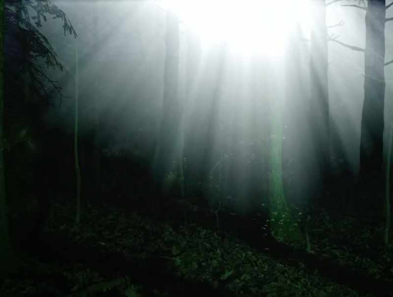 There are earth lights
