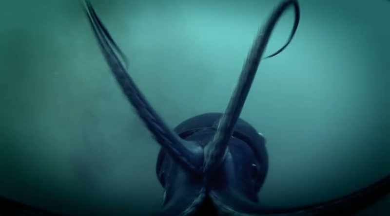 There are, however, much bigger squid out there