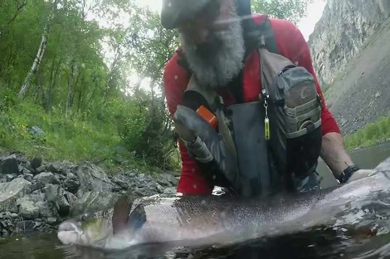 There are more 50-pounders caught here than anywhere else