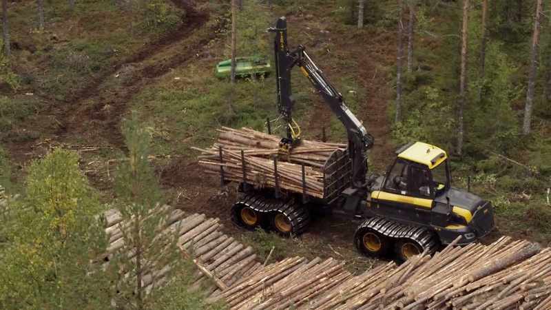 There are more forest reserves in Finland now