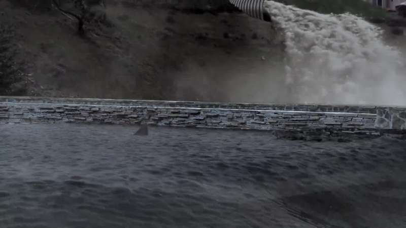 There are sharks flooding the streets