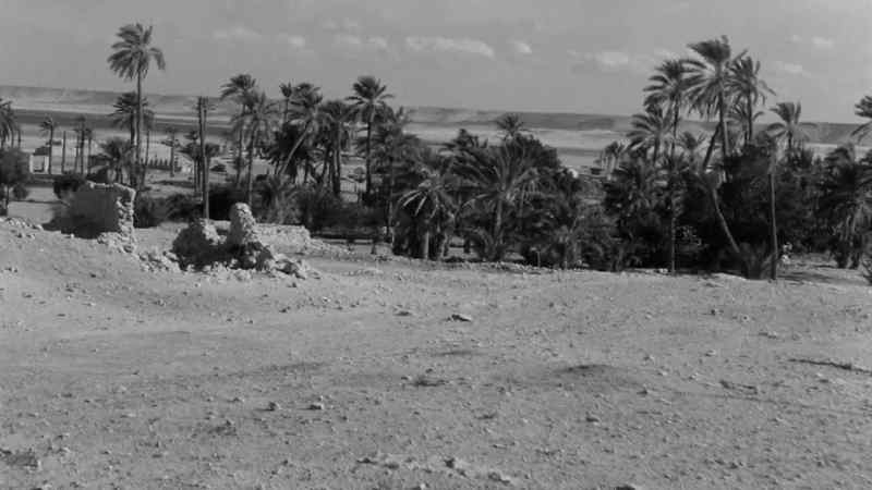 There you are. The Qara oasis