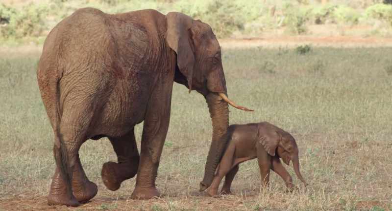 There are times when a mother needs her daughter's support