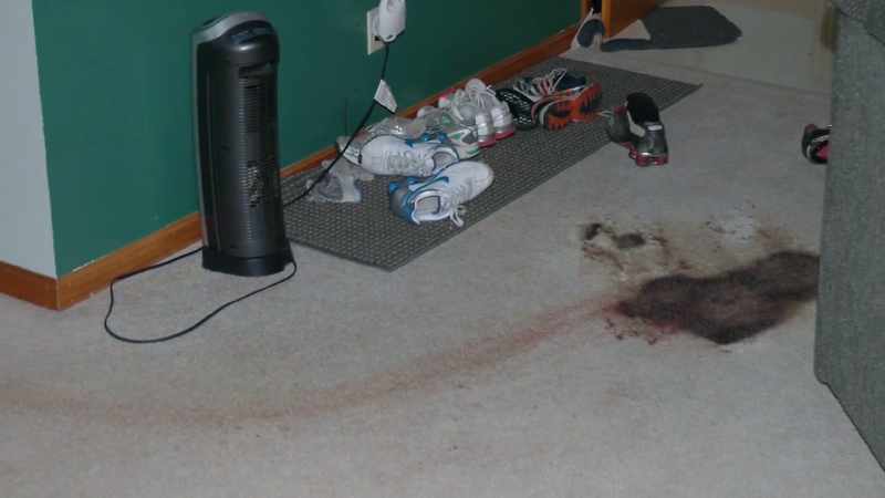 There was blood leading \h\hfrom the front door