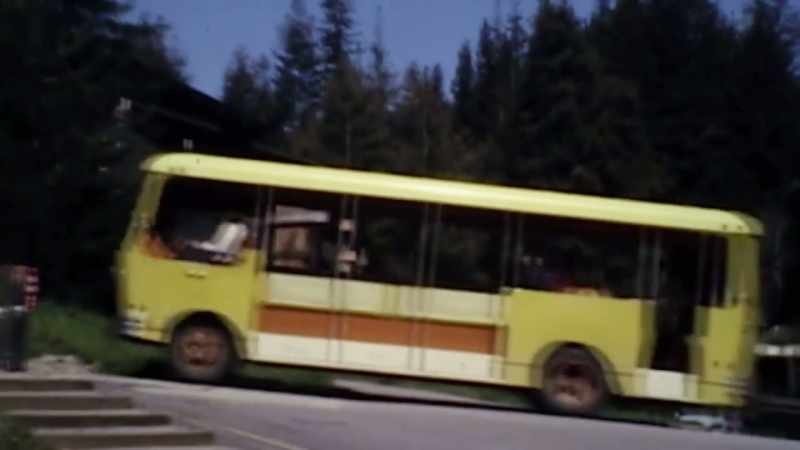 There were buses