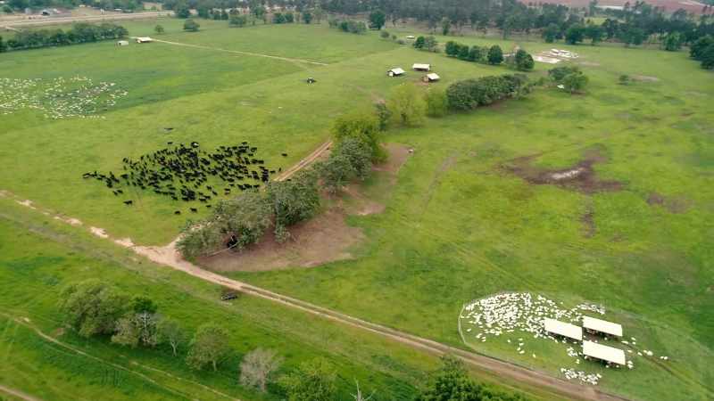 There could and should be one or two or three White Oak Pastures