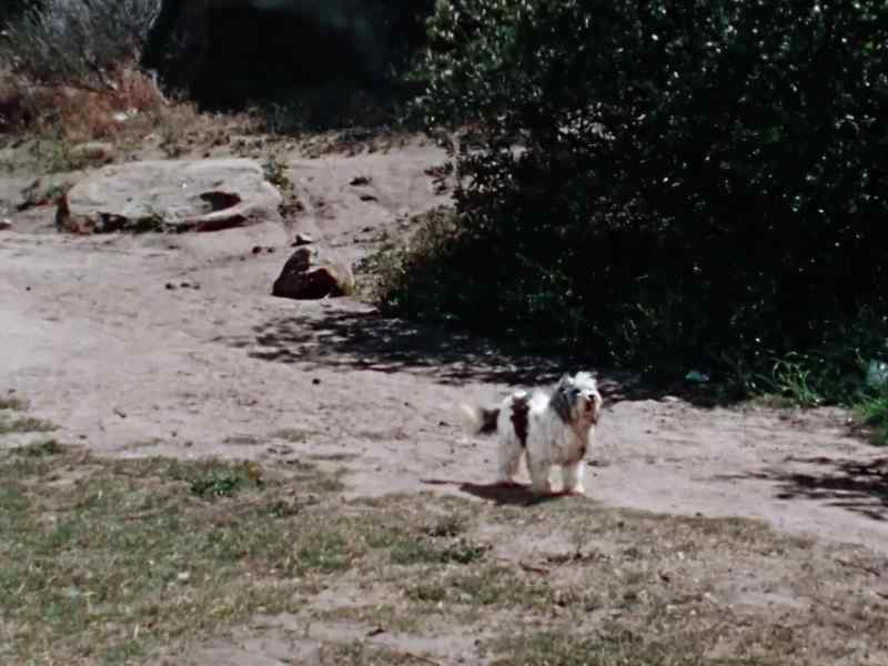 There you go
