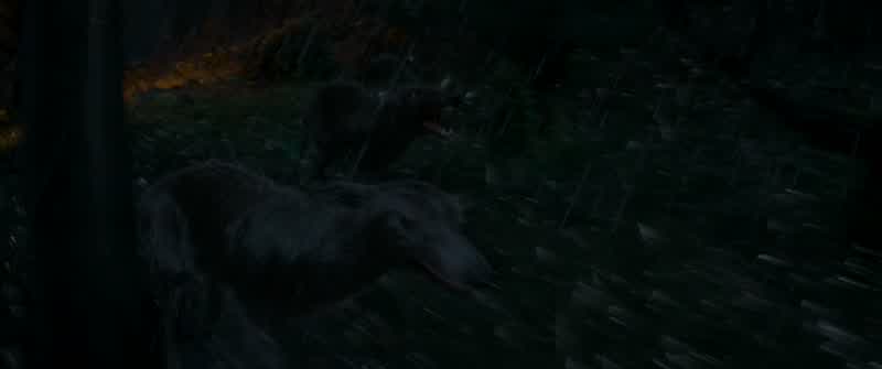 There he goes!