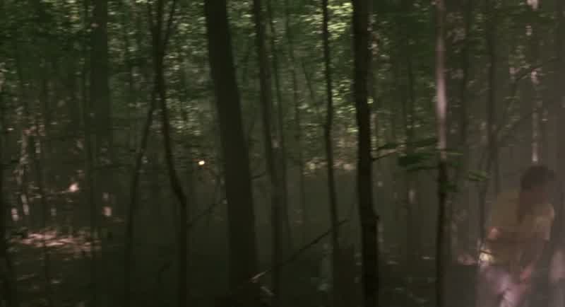 There he is!