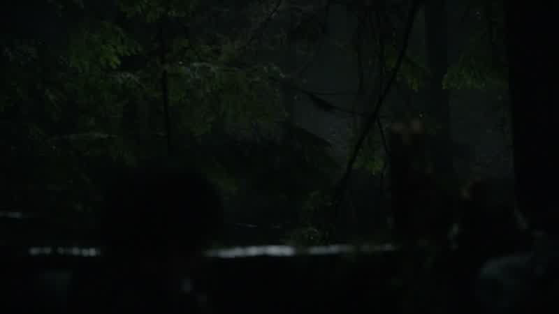 There! I see them!