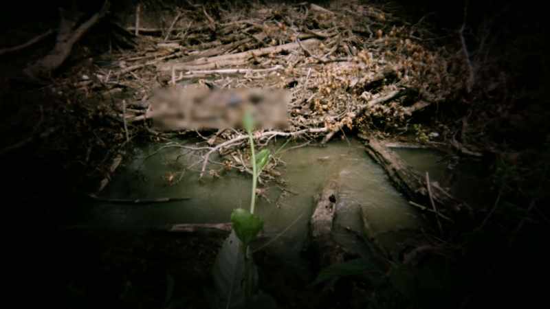 There he is. There's Zo.
