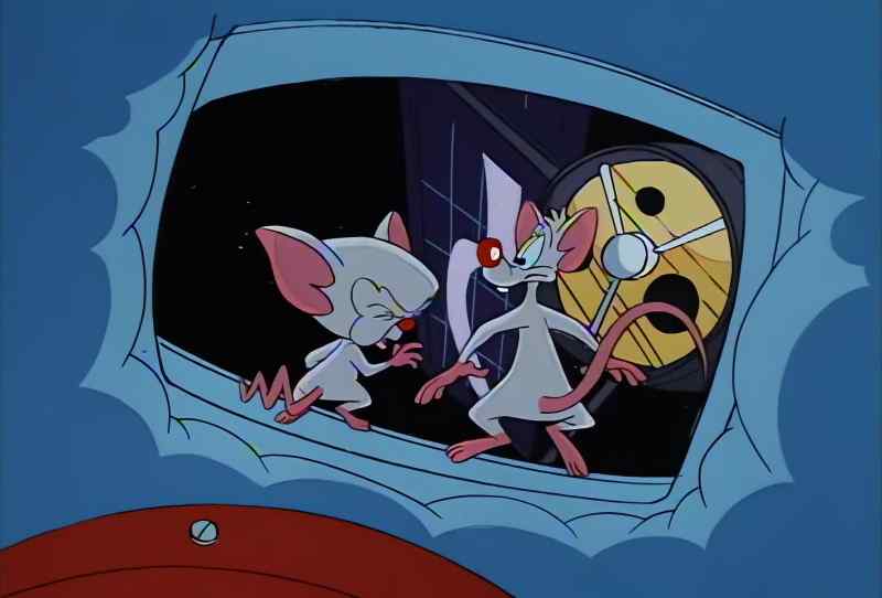 THERE IT IS, PINKY