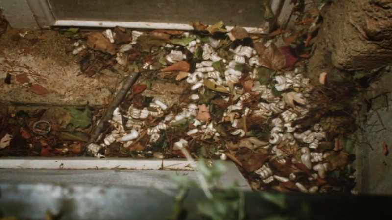 There was leaves and debris on the floor