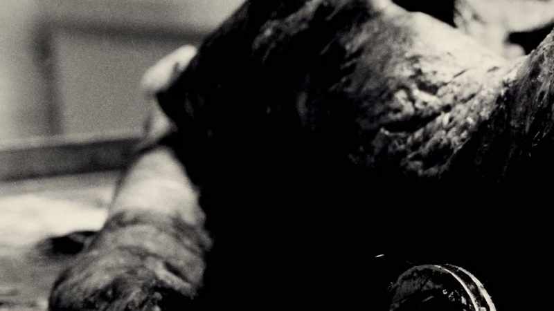 There were legs, head, arms, all dismembered