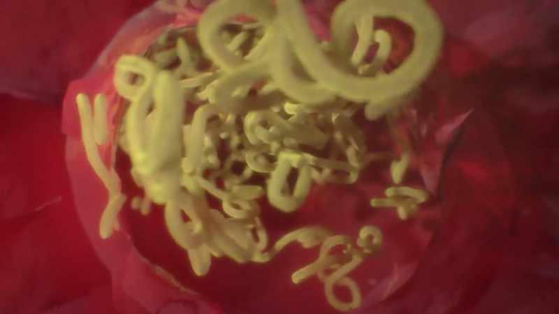 There might be upwards of a trillion viruses