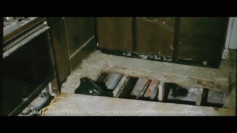 There must be something dead under the house.